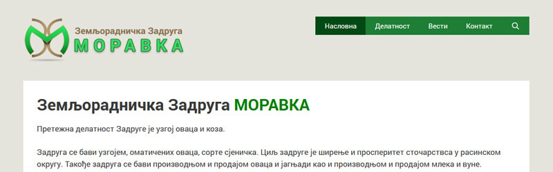 ZZ Moravka logo and web design